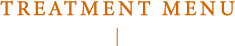 TREATMENT MENU